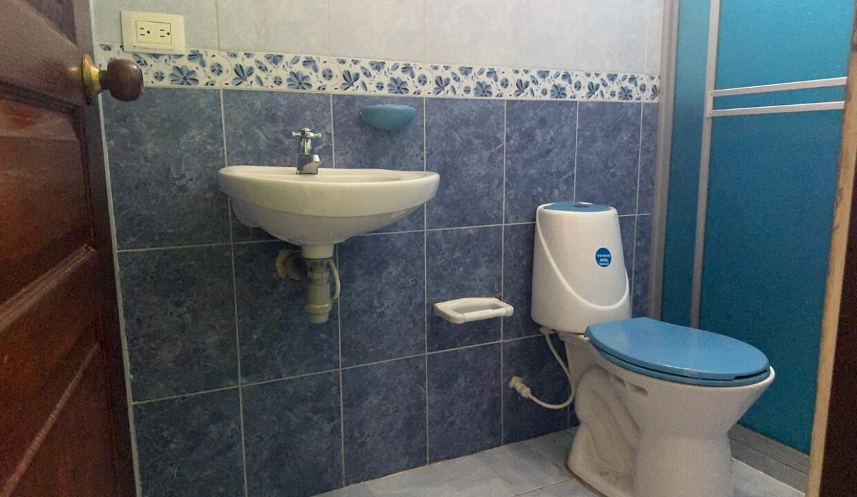 ef477b99-e36b-4021-8e3d-2f7484e399a3