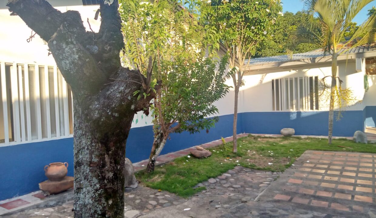 06c834a2-01c0-4796-8c67-8cb00d6c2112