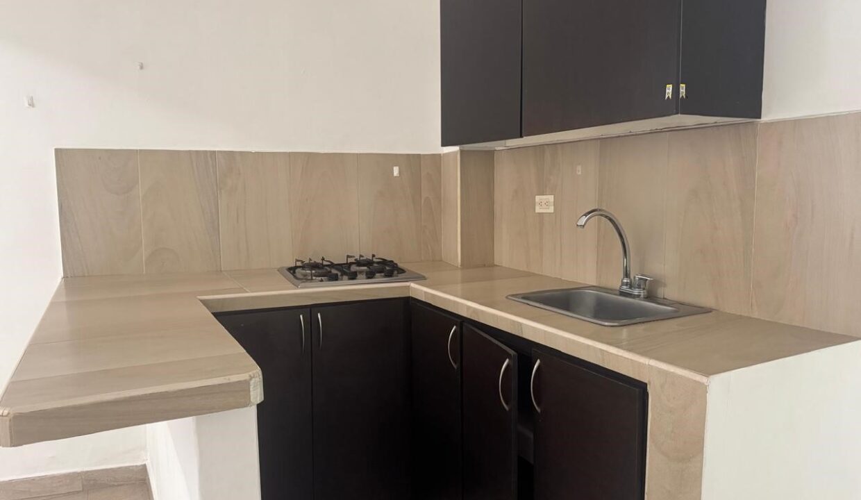 24a65bb5-bca3-4425-a546-a9ebfe6c0182