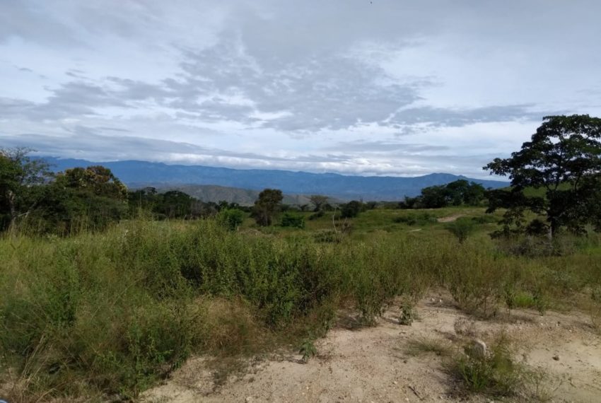 WhatsApp Image 2019-07-09 at 5.20.34 PM (1)