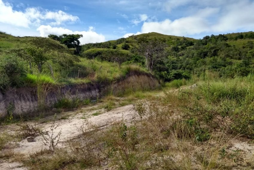 WhatsApp Image 2019-07-17 at 10.11.47 AM