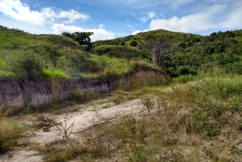 WhatsApp Image 2019-07-17 at 10.11.49 AM