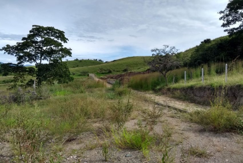 WhatsApp Image 2019-07-17 at 10.11.50 AM (1)