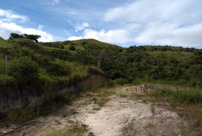 WhatsApp Image 2019-07-17 at 10.11.50 AM (3)