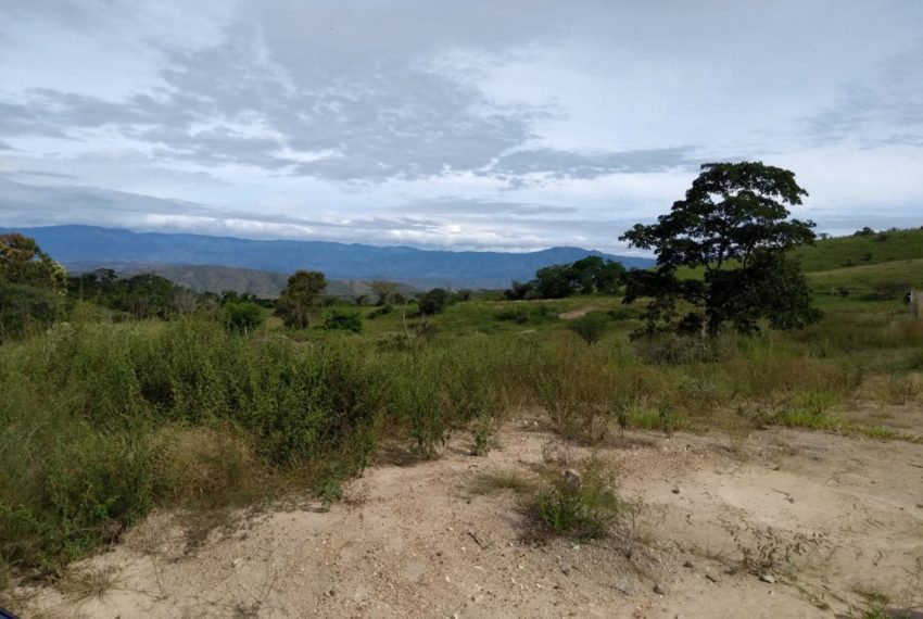 WhatsApp Image 2019-07-17 at 10.11.51 AM (1)