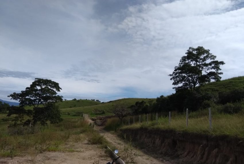 WhatsApp Image 2019-07-17 at 10.11.51 AM