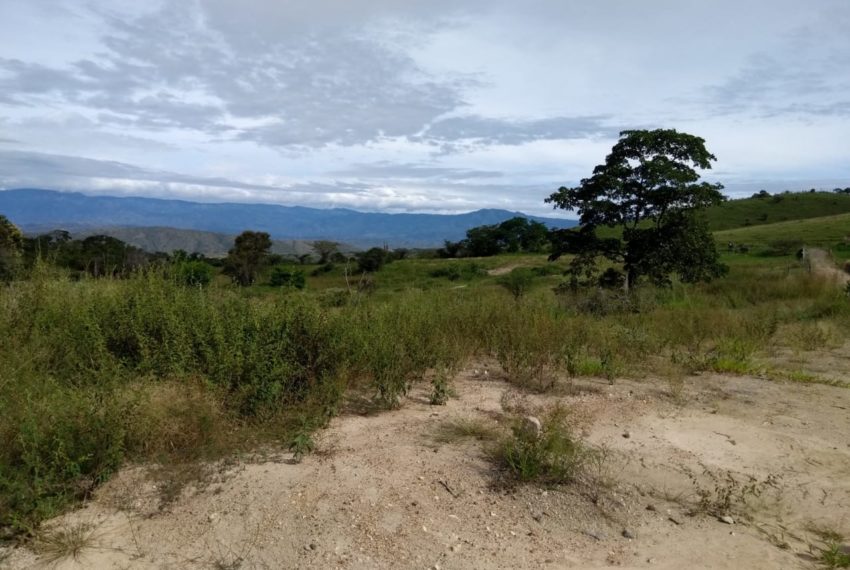 WhatsApp Image 2019-07-17 at 10.11.53 AM