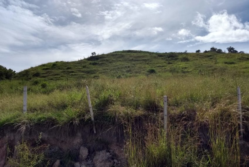 WhatsApp Image 2019-07-17 at 10.11.54 AM (1)