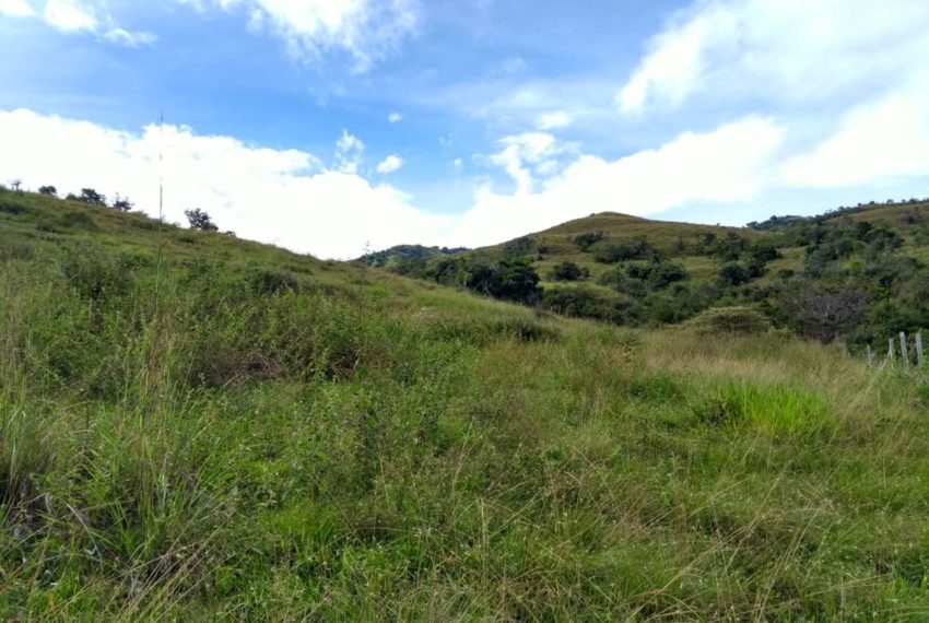 WhatsApp Image 2019-07-17 at 10.11.56 AM