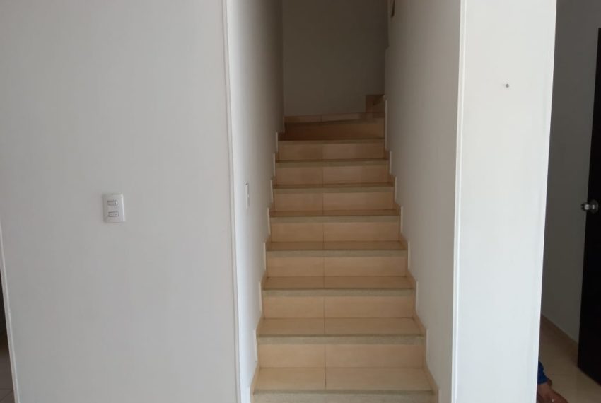 WhatsApp Image 2020-07-24 at 14.31.28 (3)