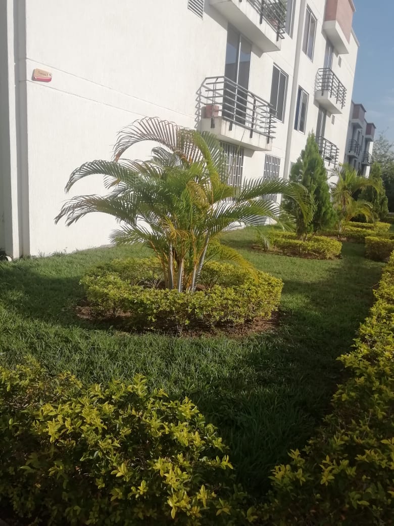 Apto 101, Conjunto Residencial Altos De San Nicolas, Neiva-Huila (640