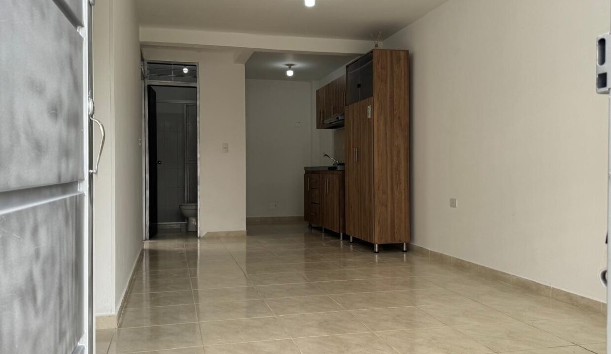 00c3377b-513e-4fe9-99a2-d774809a0782