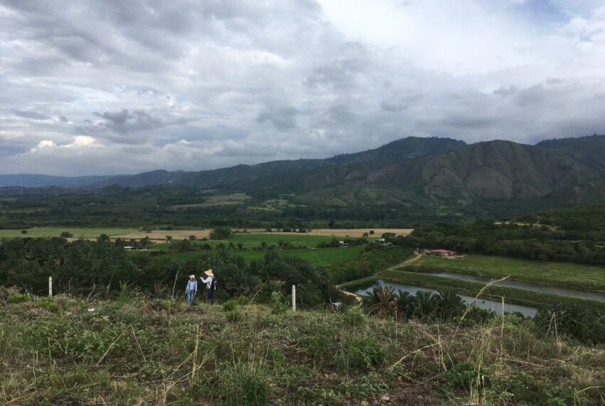 203fab62-62e7-49eb-86ec-5dae0672f1ed