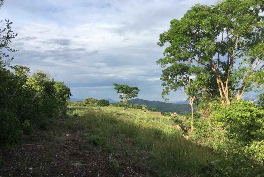 38701a6f-8027-4a7f-adf3-1d4922f210f3