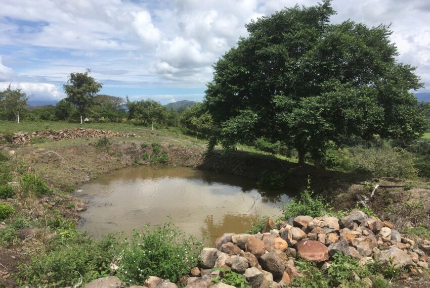 3fb9ca65-3ec7-4adb-9dab-e1321607803c