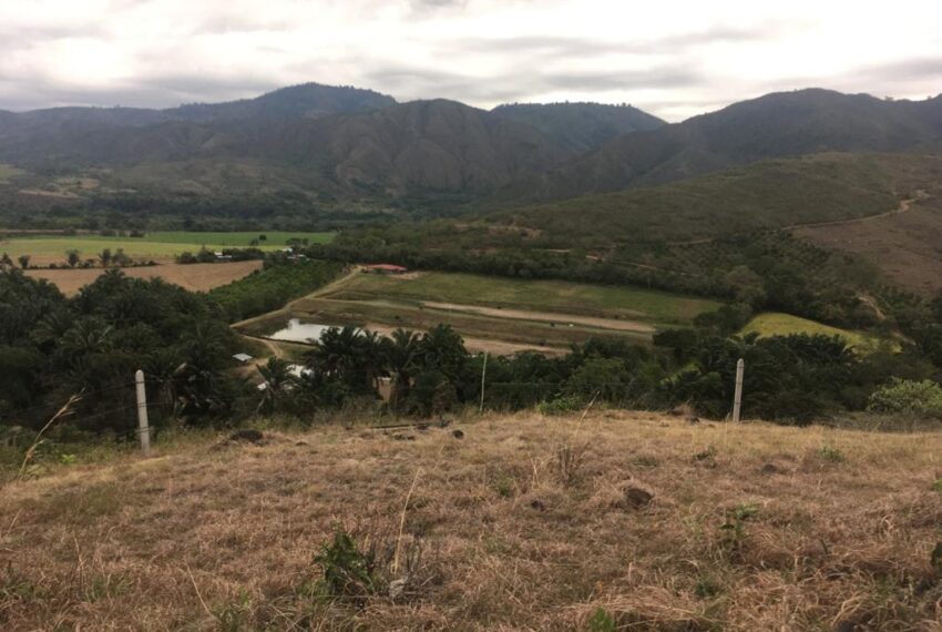 43ed9977-e996-47f7-9dda-4e44d5d381d0