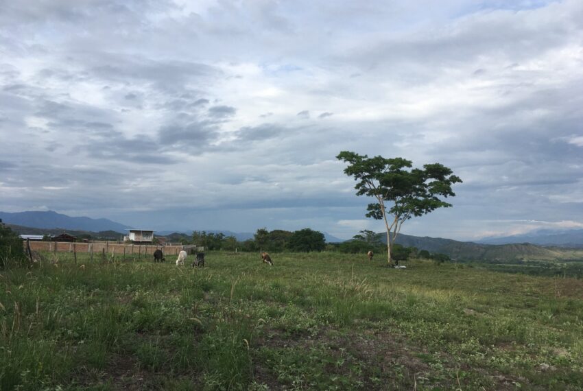 46a9d824-652d-4625-a6ca-d935fdd335b9