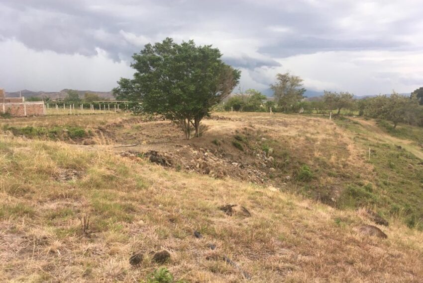 62f2e965-4d8b-4185-80a5-1697c69f7c33