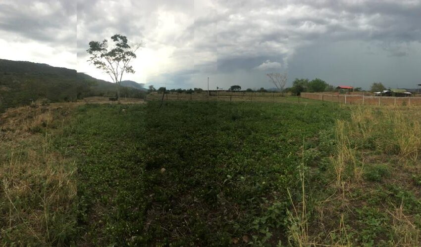 6681ca4f-ab9e-4170-963b-7c95938d4427