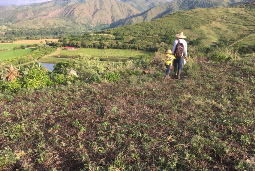 6d0657d7-4d95-4e42-84f4-b1840082a87c