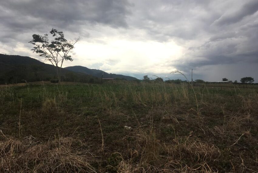 76a5e704-69d3-4f08-acaf-129b3989399e