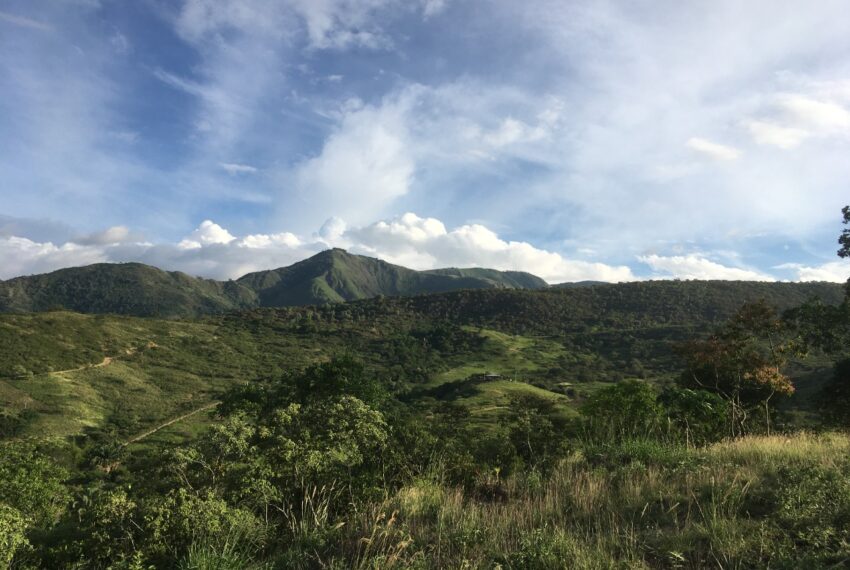 7d435eac-16ab-4559-9dcf-1bde0e44d905