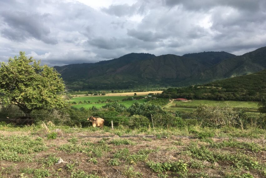 8bf3a050-661c-49a2-a679-16f7321482f8