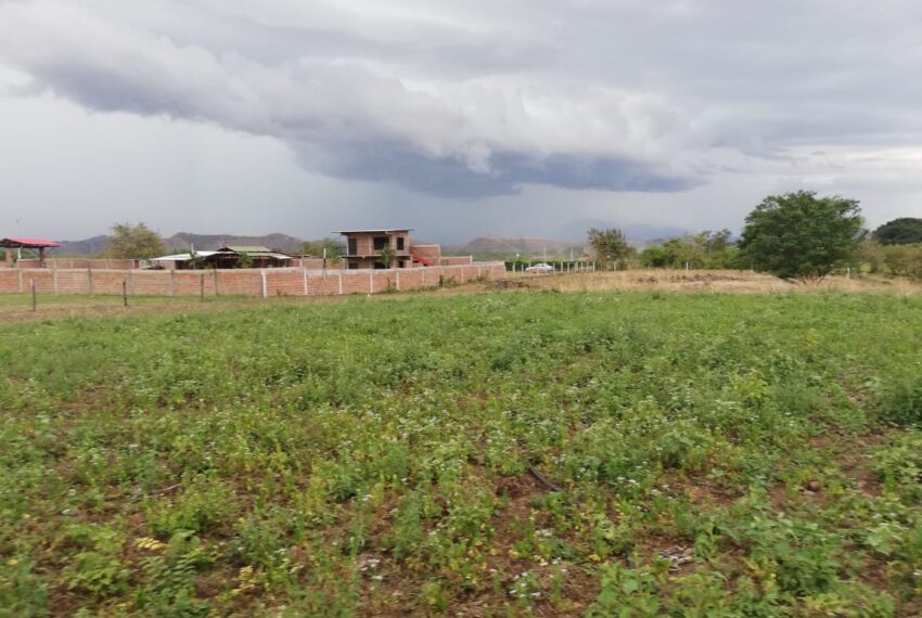 a24e1566-fd54-4c8d-9273-6c840485c83b