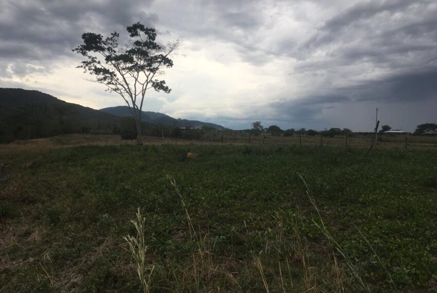 b1a8b7ef-8a2c-47f8-a4c4-be9b4c24a531