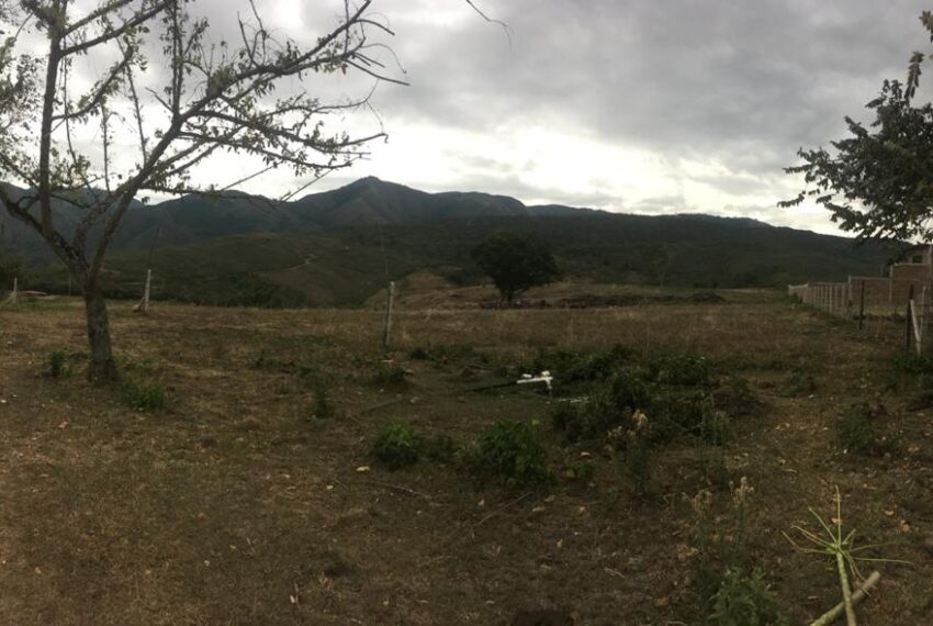 b2b39656-caf7-4fc4-801e-e0b07cf11ec0