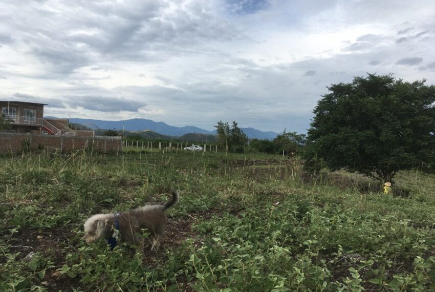 b61a3043-4a2c-461d-9958-c49a4b79cbb4