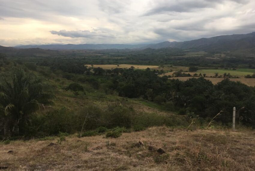 c3a97ef6-dbb0-4ddc-82c0-89a0ced55d63