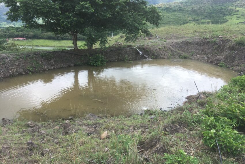 d366b7f8-c2d5-4820-8c83-661a1635280d