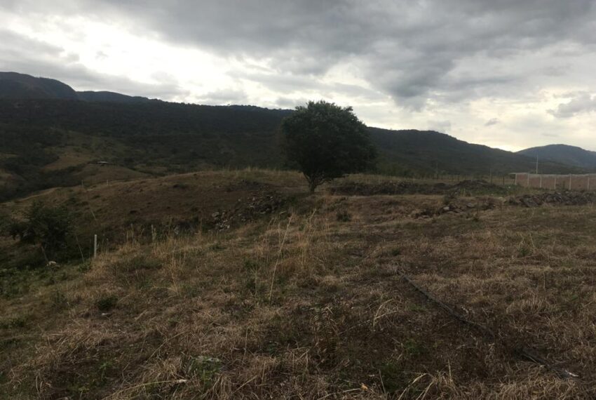 ea955f48-003d-42f2-bab1-bebf5fe98e22