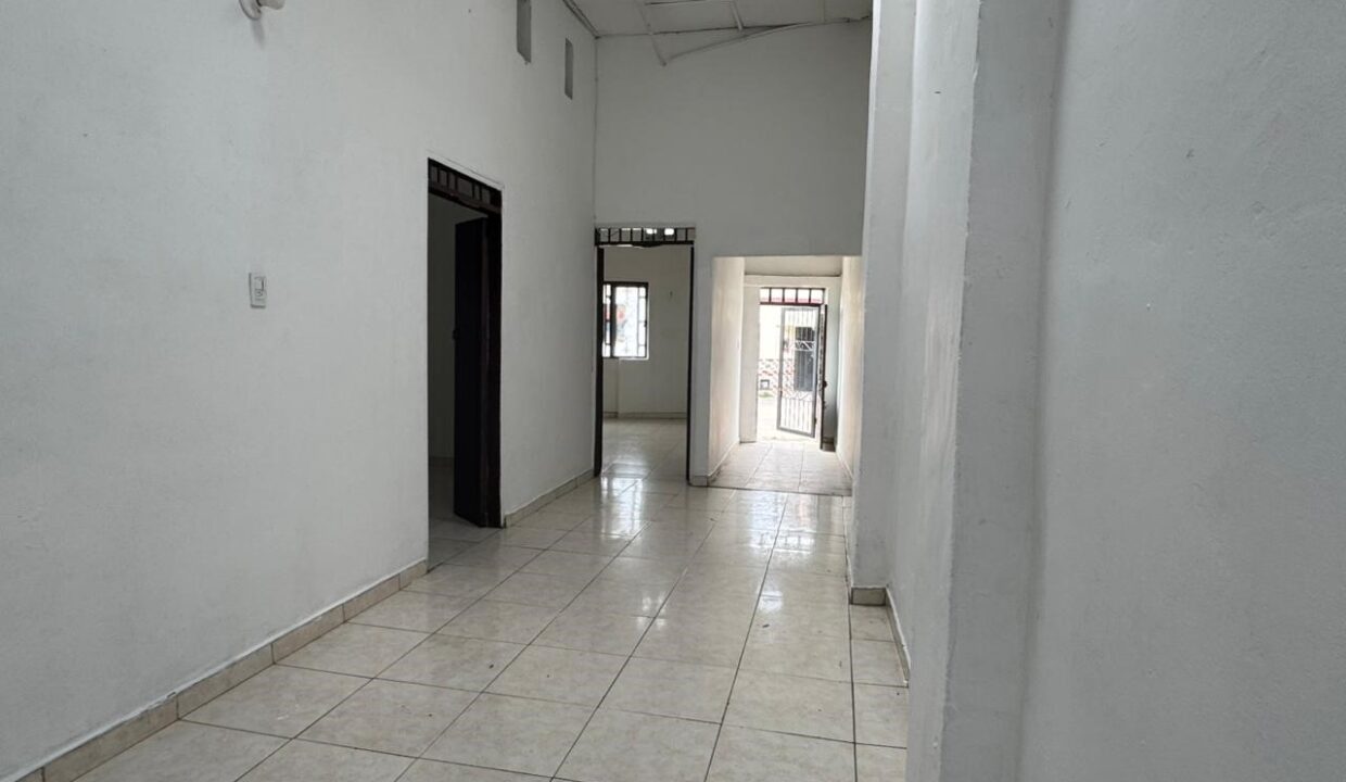 196095c3-d6db-4851-b4a6-ed9d06e94dee