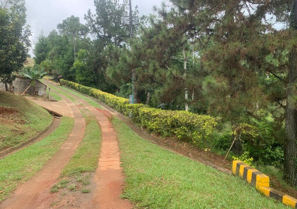 0420d0a7-459e-4ff9-a8a5-b646c530fa5e