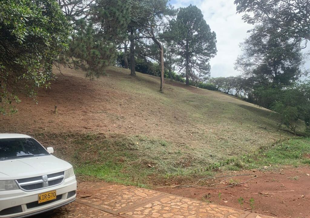 12e91906-3e21-40ea-a116-80eea3f16f87