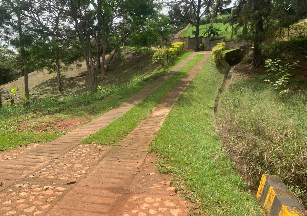 1776ecb1-4313-40e8-95d6-3e12a3561806