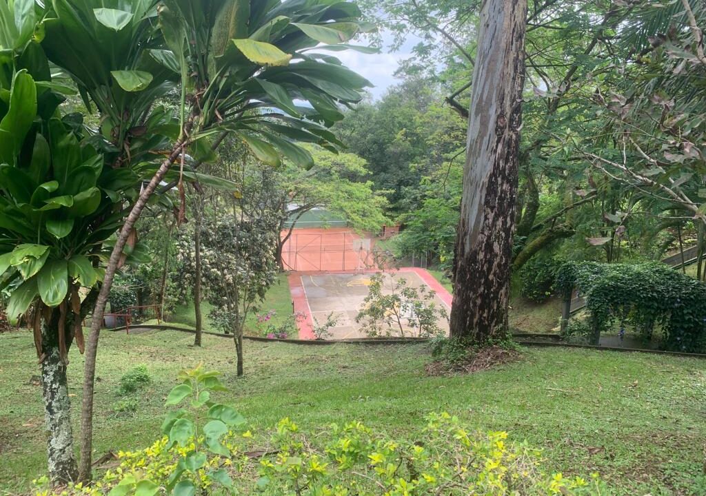 17e65ac7-1168-4c8e-aed7-bf57a03fbef4