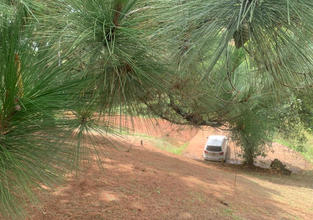 360d8661-e150-4a74-b9d2-36e7f38d1bc8