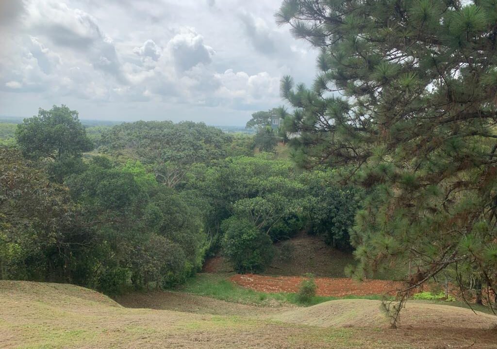 414af03e-0875-40b7-85b8-b0716a0d619f