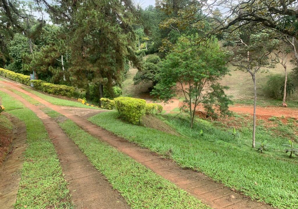 423cd55b-621c-441f-acd9-c44c12875af3