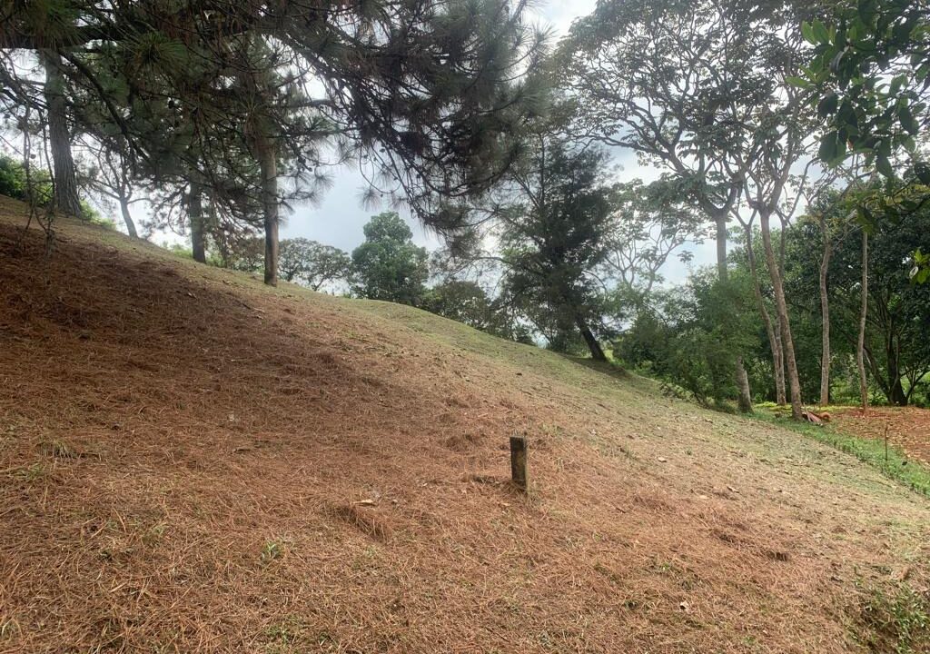 5e6913e3-e017-433e-8c9a-11fa4862d7b4