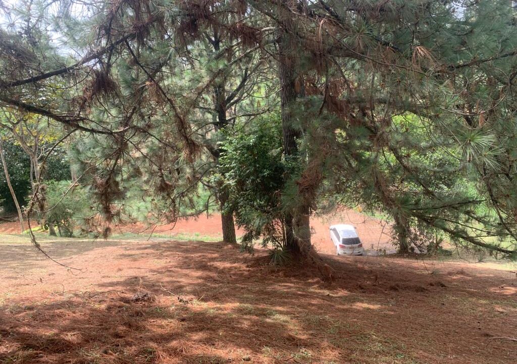 6df1da96-2cfd-4138-a430-9e3f86383c8d