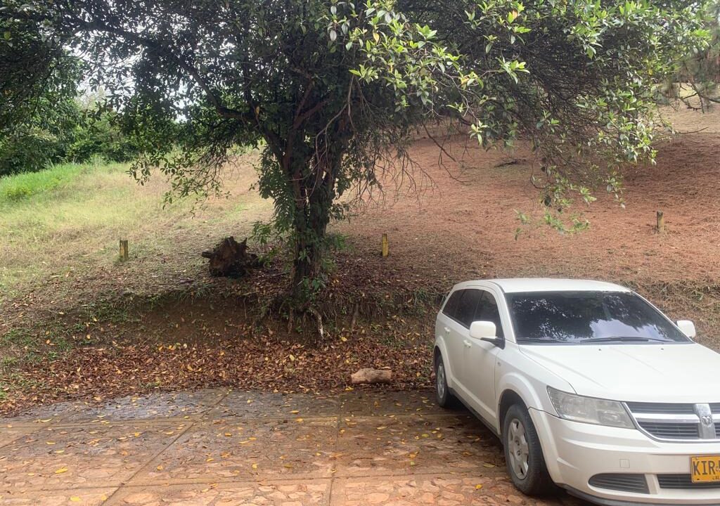 75931b7f-06fb-421b-a4ae-af88914c23c4