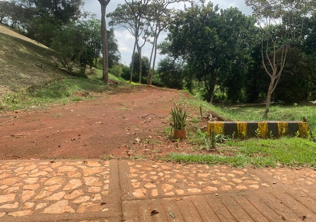 8d0a76c3-f96b-43d0-92a6-329ffe902d9b