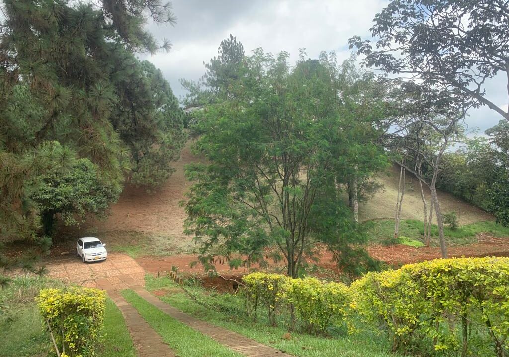 9025f580-316a-44e5-af1c-ed8e453edaa1