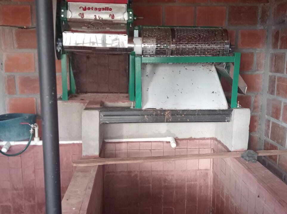 WhatsApp Image 2024-11-14 at 11.47.32 AM (1)