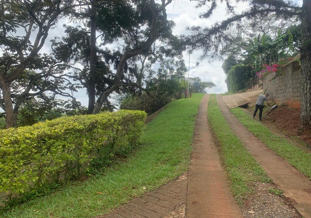 ad81113f-c139-47fd-9b3d-f34a2e0428b5