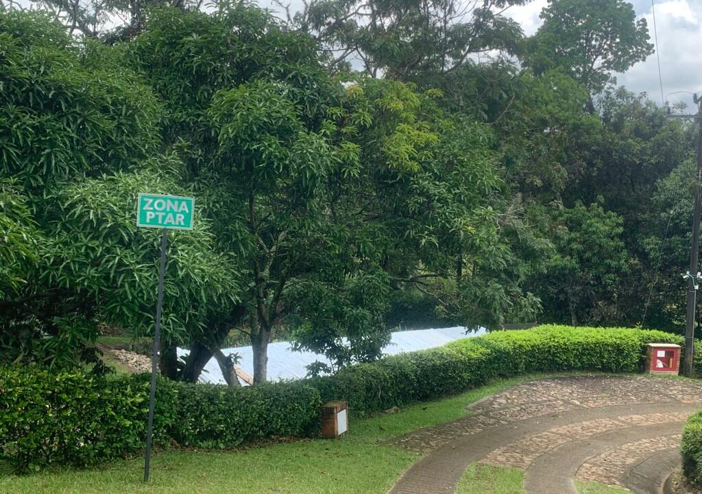 b29a5263-2e0d-41bc-903c-a139c3072a53